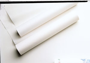 Table Paper White 14.5 Inch Width x 225 feet Smooth [015] (12 RL/CS) by Graham Medical  ID 70015N